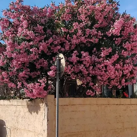 Homestay Dans 1 Cadre De Verdure Convivial Et Relax, Ideal Et Centre A 2 Pas, Jusqu'a 3 Triple Et Privees, Parties Communes Sdb, Wc, Jardin Valras-Plage